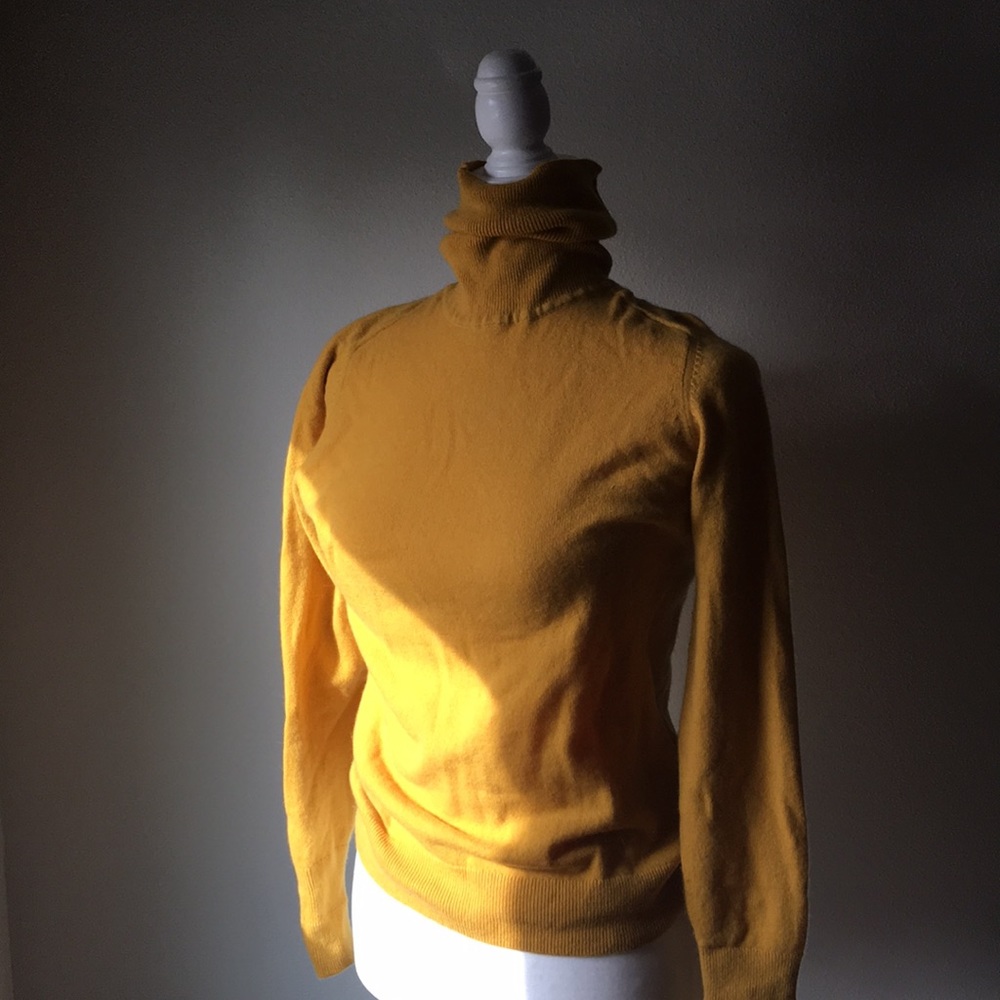 Everlane cashmere turtleneck